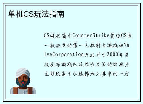 单机CS玩法指南